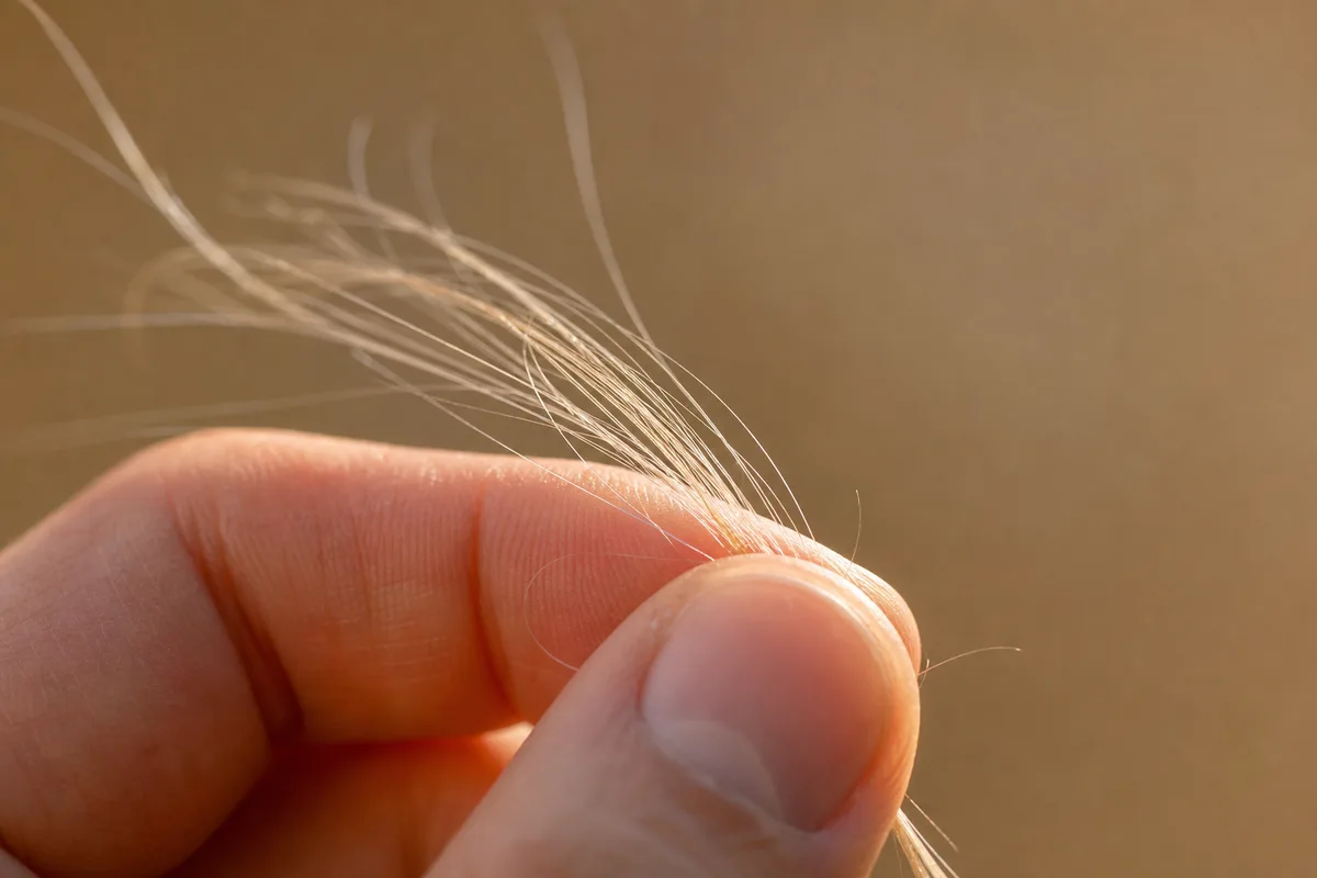 Mèche de cheveux fins tenue entre deux doigts, gros plan sur la matière
